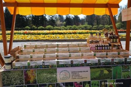 Festival zelišč (25)